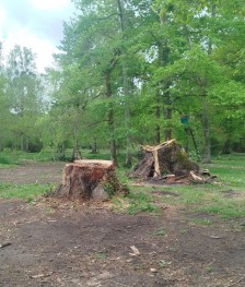 IMG_20260413_122111.jpg IMG_20260413_122111.jpg