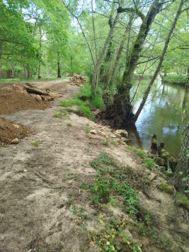 IMG_20260413_122547.jpg IMG_20260413_122547.jpg