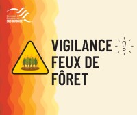 visuel-vigilance-feux-de-foret.jpg